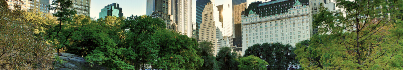 Central Park trees