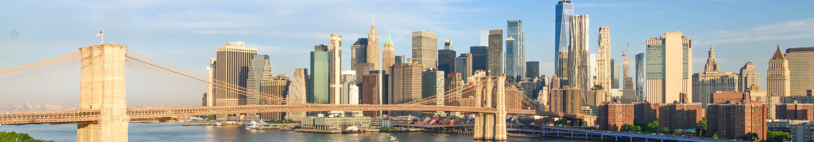 Bridge and NYC skyline